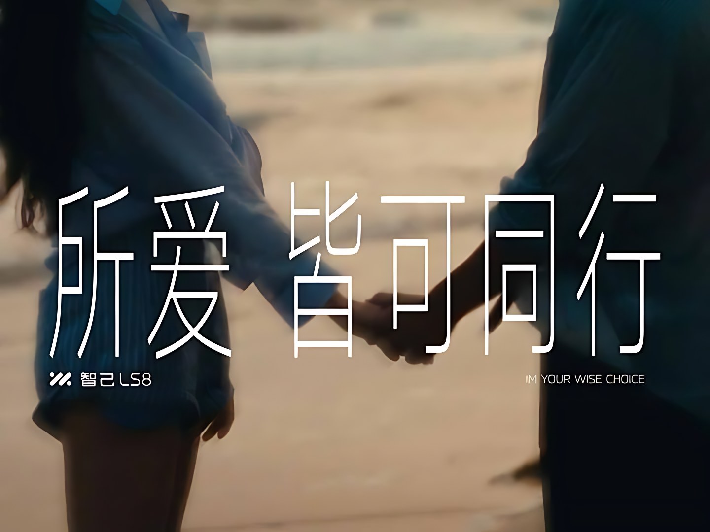 IM 智己 LS8 · 所爱皆可同行 画面 12